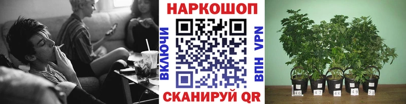 Как найти закладки Новоаннинский APVP АМФ МЕФ ГАШ Канабис