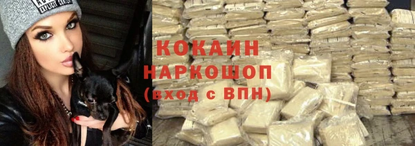 ПСИЛОЦИБИНОВЫЕ ГРИБЫ Армянск