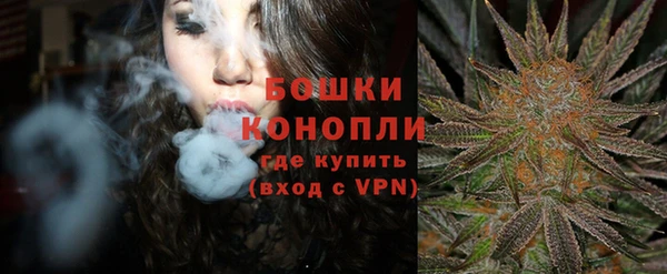 прущие грибы Арсеньев