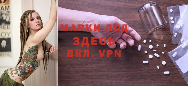 прущие грибы Арсеньев